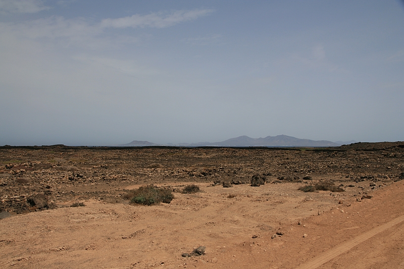 Kanary_2010 101